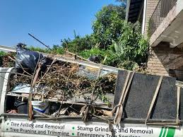 Best Same-Day Junk Removal Services  in Loogootee, IN